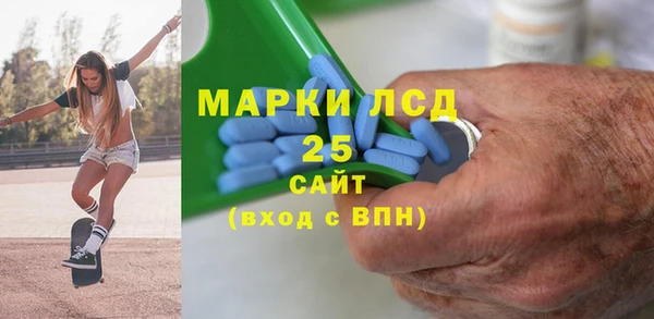 ГАЛЛЮЦИНОГЕННЫЕ ГРИБЫ Верея