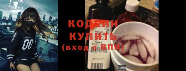 ГАЛЛЮЦИНОГЕННЫЕ ГРИБЫ Верея
