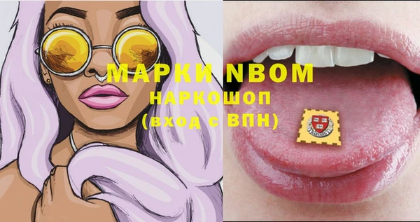 ГАЛЛЮЦИНОГЕННЫЕ ГРИБЫ Верея