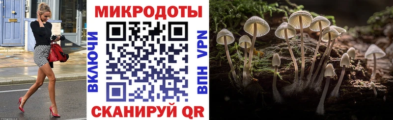 Галлюциногенные грибы Psilocybe  Купить  Павловский Посад 
