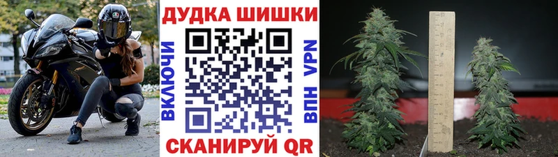 Марихуана сатива  Купить  Павловский Посад 